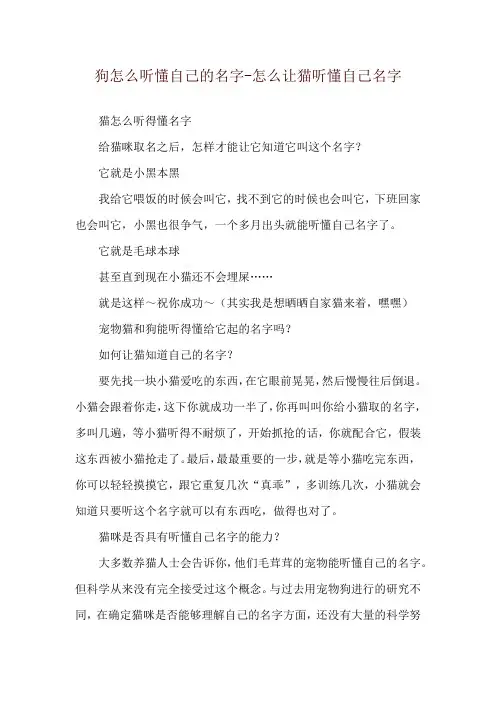 狗怎么听懂自己的名字-怎么让猫听懂自己名字