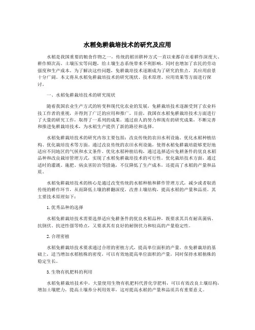 水稻免耕栽培技术的研究及应用