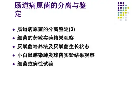 肠道病原菌的分离与鉴定