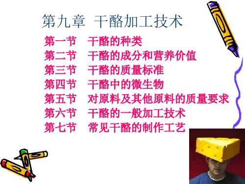 D_第六章 干酪