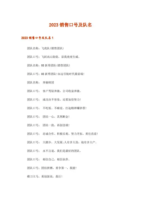 2023销售口号及队名