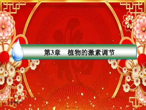 高中生物3其他植物激素课件必修3高二必修3生物课件_00002