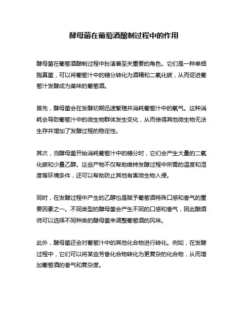酵母菌在葡萄酒酿制过程中的作用