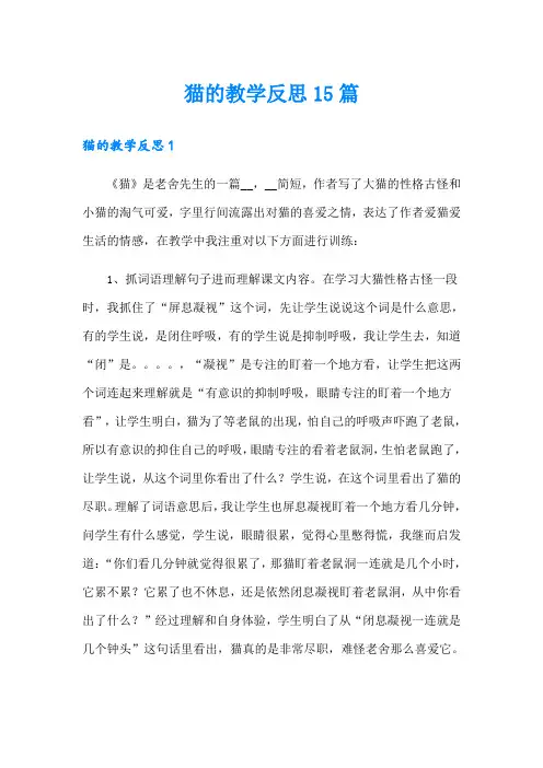猫的教学反思15篇