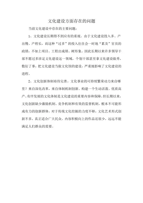 文化建设方面存在的问题