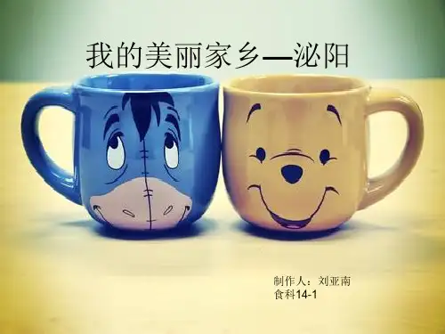 我的美丽家乡 优质课件