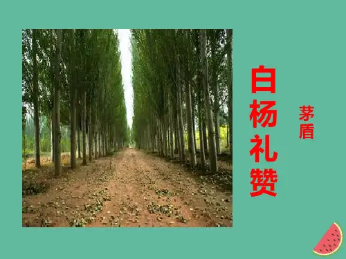 部编版八年级上册14《白杨礼赞》