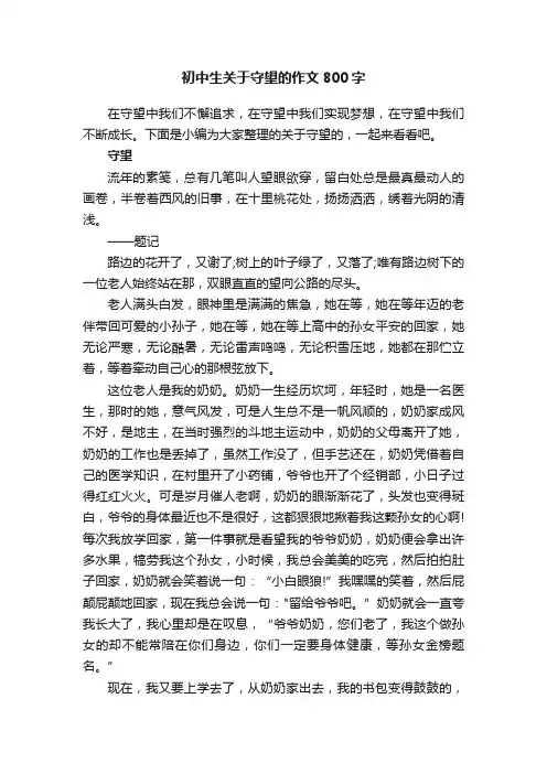 初中生关于守望的作文800字