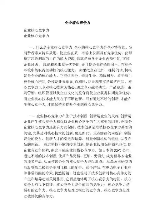 企业核心竞争力（范本）