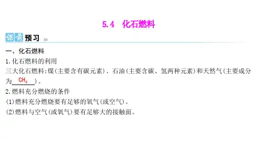 5.4化石燃料 -2024-2025学年九年级化学科粤版(2024)上册