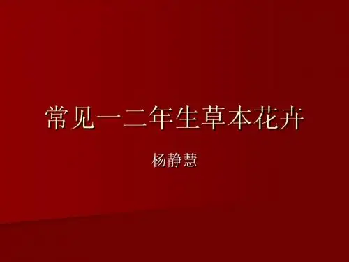 常见一二草本花卉