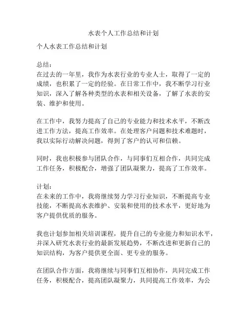 水表个人工作总结和计划