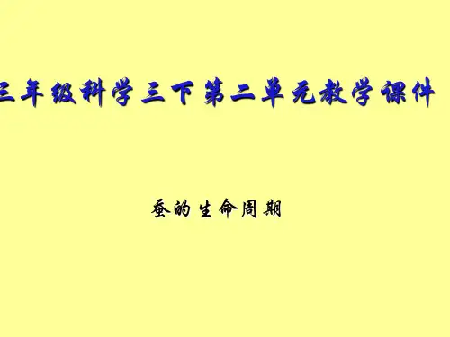 蚕的生命周期