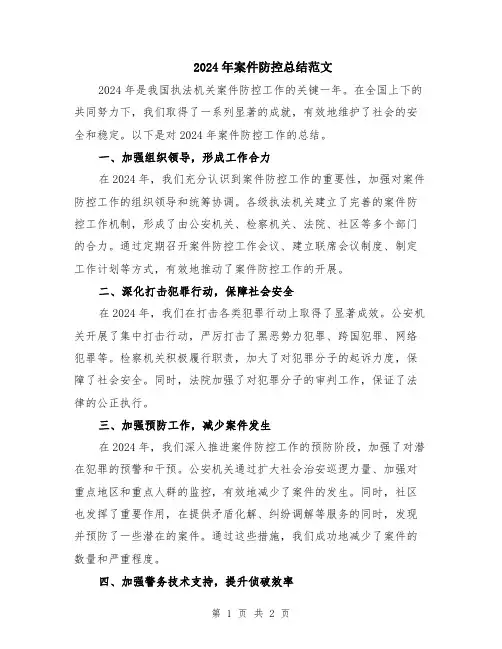 2024年案件防控总结范文