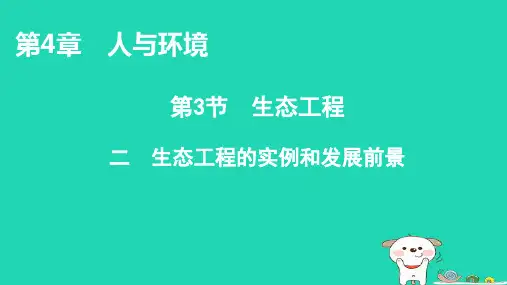 新教材高中生物第4章人与环境第3节生态工程2生态工程的实例和发展前景课件新人教版选择性必修