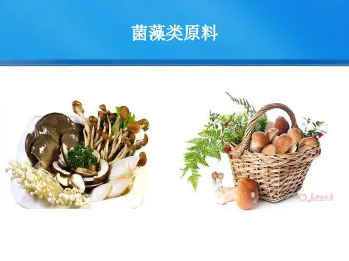项目五 菌藻