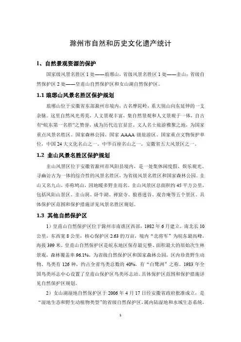 滁州市自然和历史文化遗产统计 