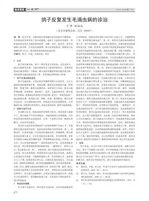 鸽子反复发生毛滴虫病的诊治