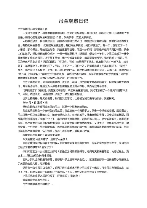 吊兰观察日记范文集锦十篇