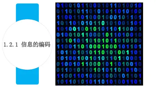高中信息技术信息的编码