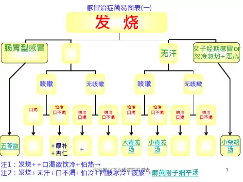 倪海厦经方治感冒简易图表 ppt课件