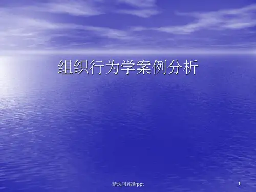 组织行为学案例分析