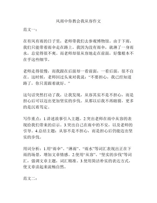 风雨中你教会我从容作文