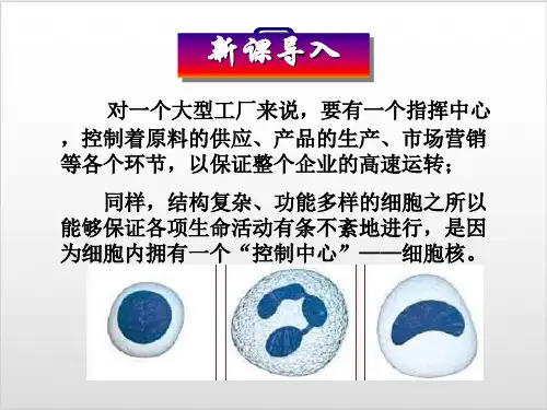 人教版生物必修一《细胞核——系统的控制中心》PPT优质课件