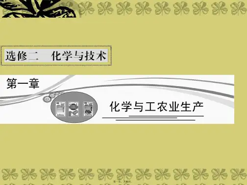高考化学总复习 第一章 化学与工农业生产课件 新人教版选修2