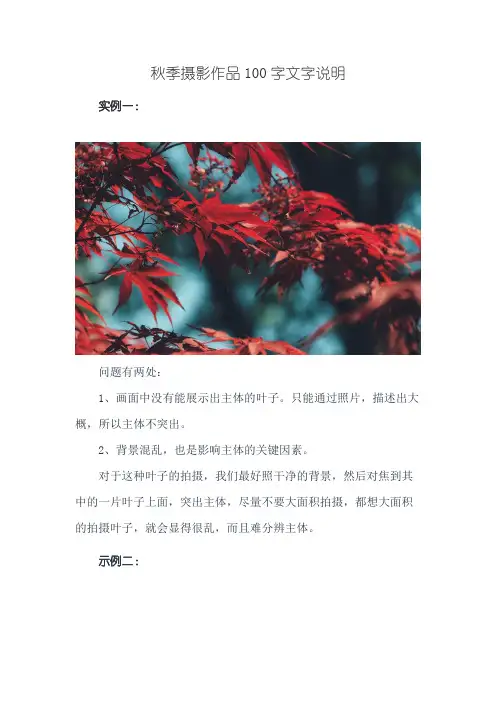 秋季摄影作品100字文字说明
