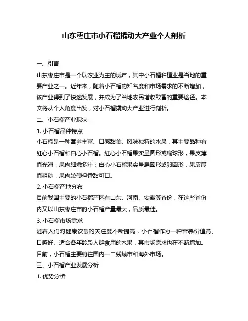 山东枣庄市小石榴撬动大产业个人剖析