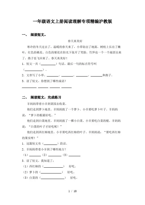 一年级语文上册阅读理解专项精编沪教版