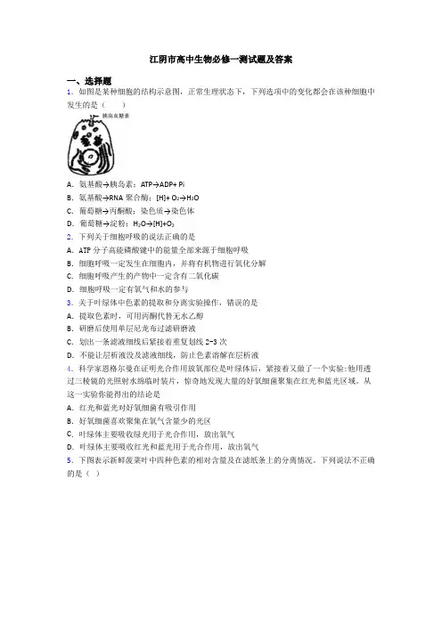 江阴市高中生物必修一测试题及答案