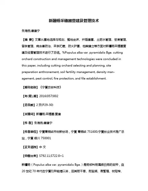 新疆杨采穗圃营建及管理技术