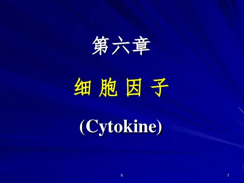 《细胞因子》ppt课件