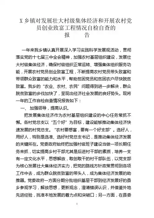 壮大村级集体经济自检自查报告
