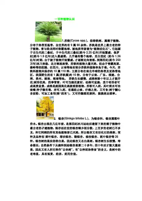 100种植物认识
