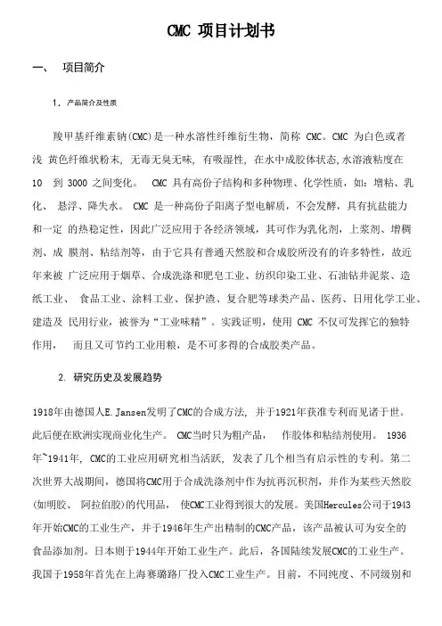 CMC项目计划书