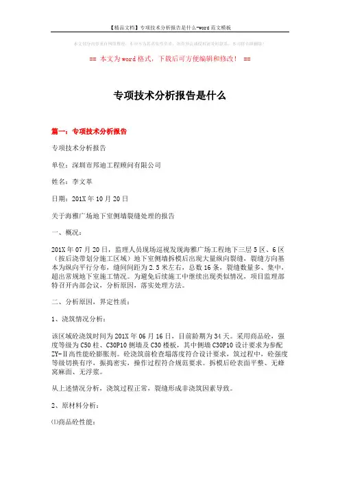 【精品文档】专项技术分析报告是什么-word范文模板 (12页)