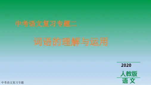 2020中考语文复习专题二  词语的理解与运用