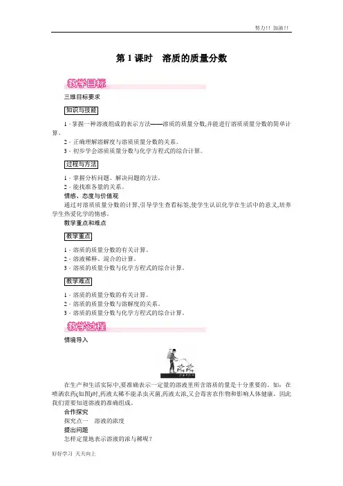人教版初中初三年级九年级化学下册  溶质的质量分数 精品教学教案