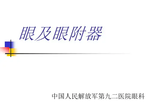 眼解剖
