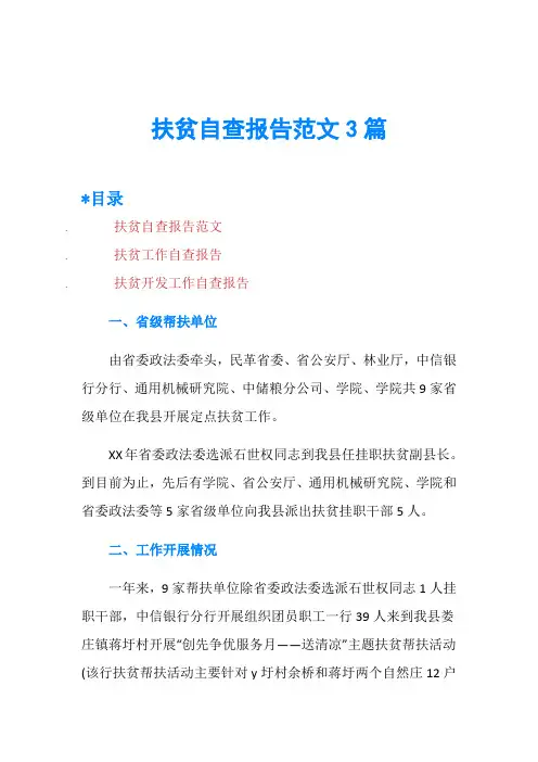 扶贫自查报告范文3篇