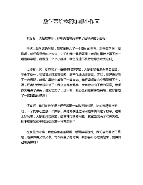 数学带给我的乐趣小作文