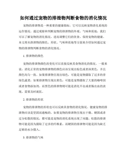 如何通过宠物的排泄物判断食物的消化情况