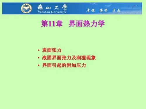 11-界面热力学