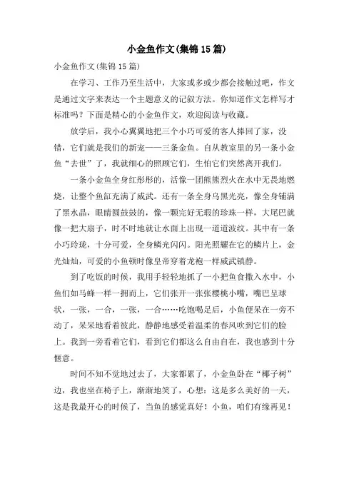 小金鱼作文(集锦15篇)