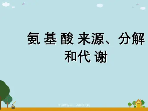 氨基酸来源、分解与代谢