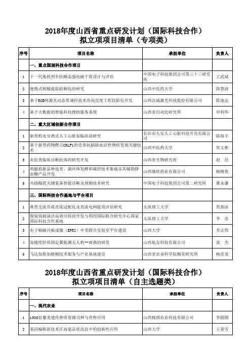 重点研发计划国际科技合作