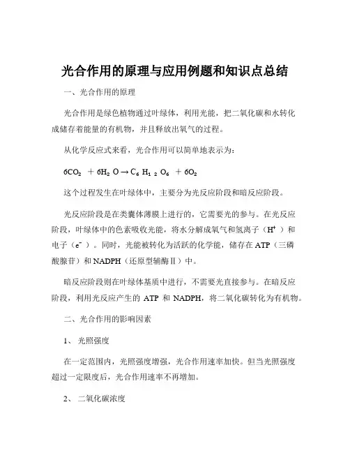 光合作用的原理与应用例题和知识点总结